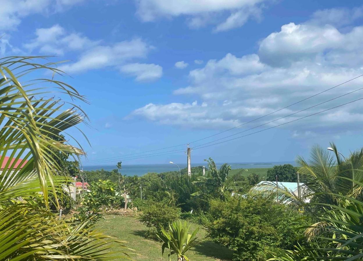 Bel Appartement T2 Avec Vue Sur Palmier Et Mer Sainte-Rose Exterior photo